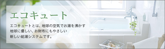 �G�R�L���[�g�m����Y�Ɓn
