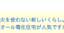 �΂��g��Ȃ��V�������炵�B�I�[���d���Z��l�C�ł��B