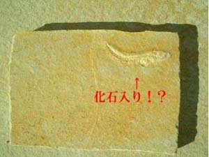 �܂�ɂ���Ȃ́��������Ă��邩��
