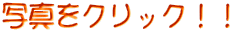 ʐ^NbNII
